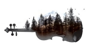 Lost in the Looping Glass