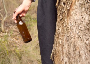 Beers and Trees