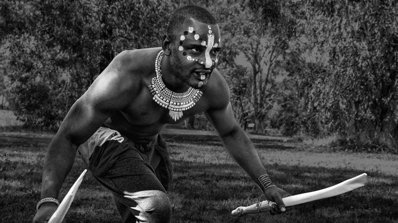 Heard of Elephants.jpg