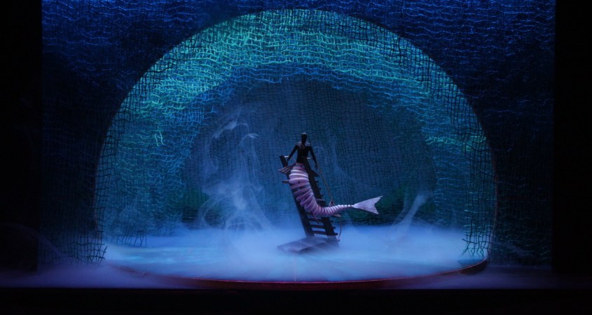 Person wearing mermaid costume